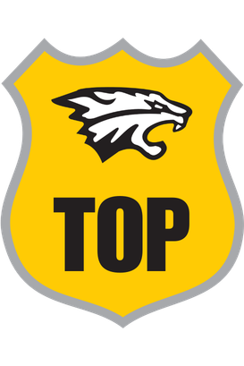 Logo TOP Segurança Privada